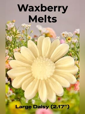 Handcrafted Large Daisy Wax Melts in Papaya Smoothie Scent - 2 Flowers